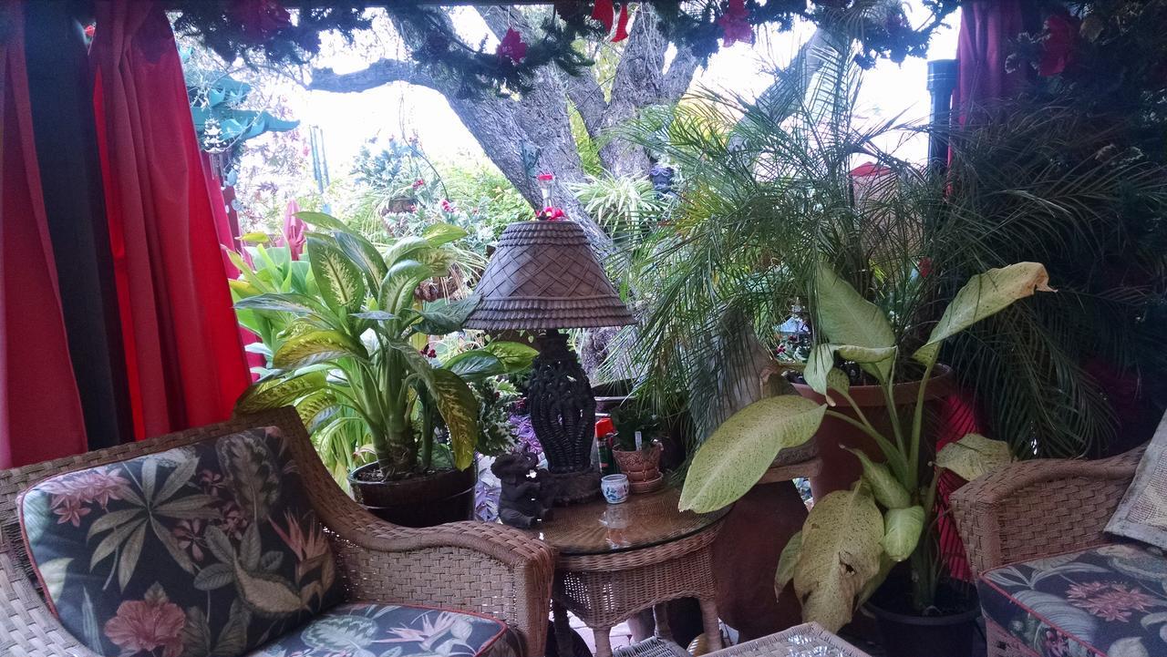 Don'S Elegante Bed & Breakfast Phoenix Buitenkant foto